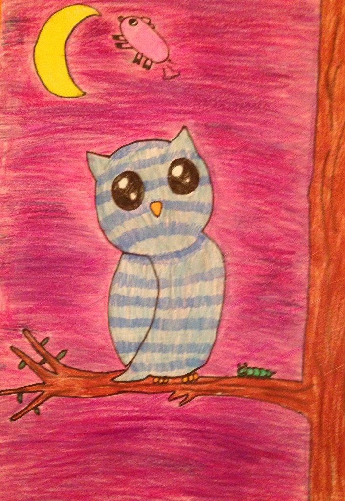 Moonlight Owl by Lauren Mawhinney 4th Class Kilbrin N.S.